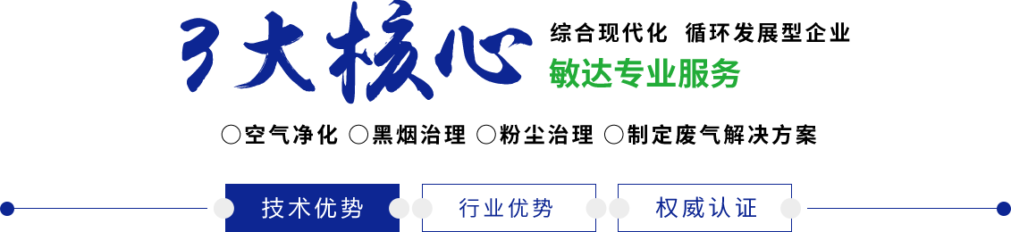 我要男人的大鸡巴狠狠的操我的骚逼敏达环保科技（嘉兴）有限公司